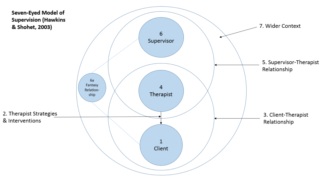 Seven Eyed Model of Supervision Diagram Online & InPerson